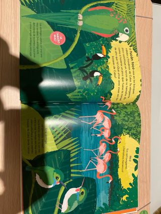 ¡Qué animales!: Descúbrelos a tamaño real