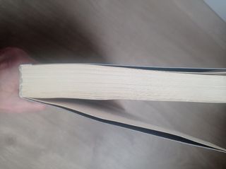 Stephen King El pistolero