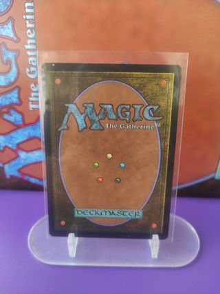 Refugio anónimo - Carta Magic Español