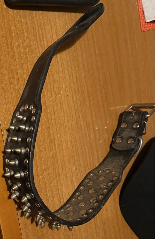 Collare taglia medio/grande