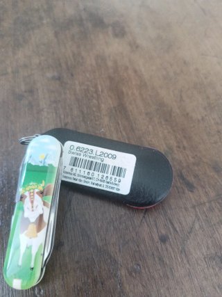 Victorinox Classic