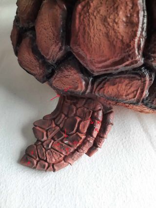 Resina Master Roshi & Turtle Infinite Studio 1/4