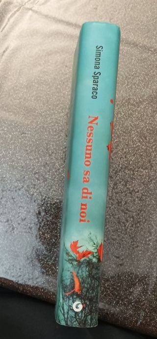 Libro "nessuno sa di noi"