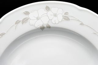 Set de platos llanos porcelana Bavaria