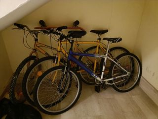Nr. 3 biciclette uomo, donna e ragazzo