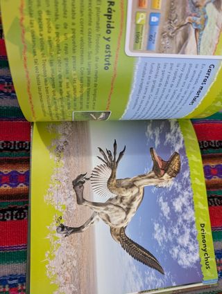 2 en 1, Libro y juego de cartas dinosaurios.