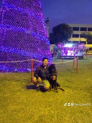 Paseador de perros- Educador canino
