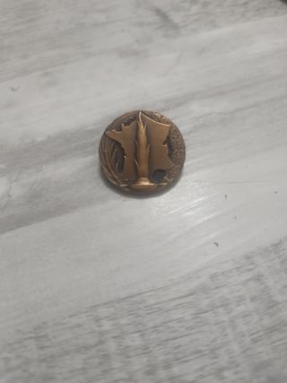 Insignia  soldado desconocido, bronce. La flamme.