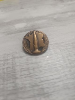 Insignia  soldado desconocido, bronce. La flamme.