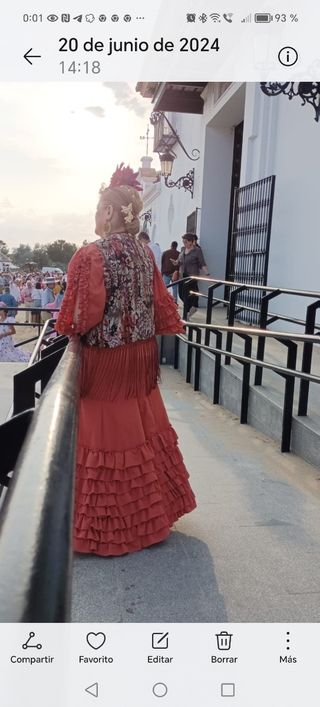Traje de flamenca