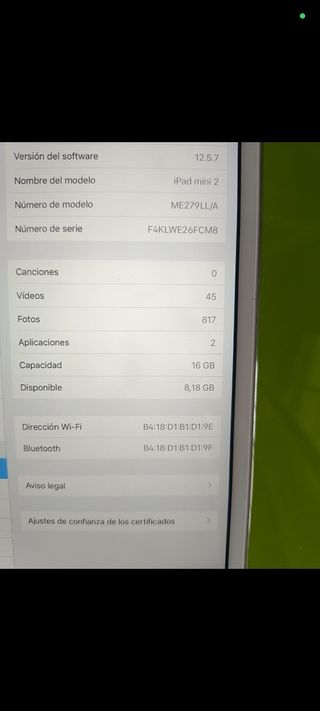 iPad mini 2