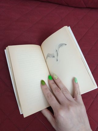 Libro JUAN SALVADOR GAVIOTA