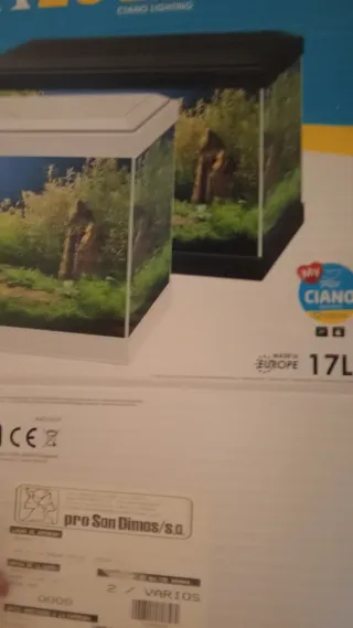Pecera pequeña con complementos