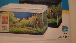 Pecera pequeña con complementos