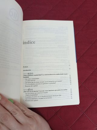 Libro CONSTRUYE TU Sueño nuevo!! 