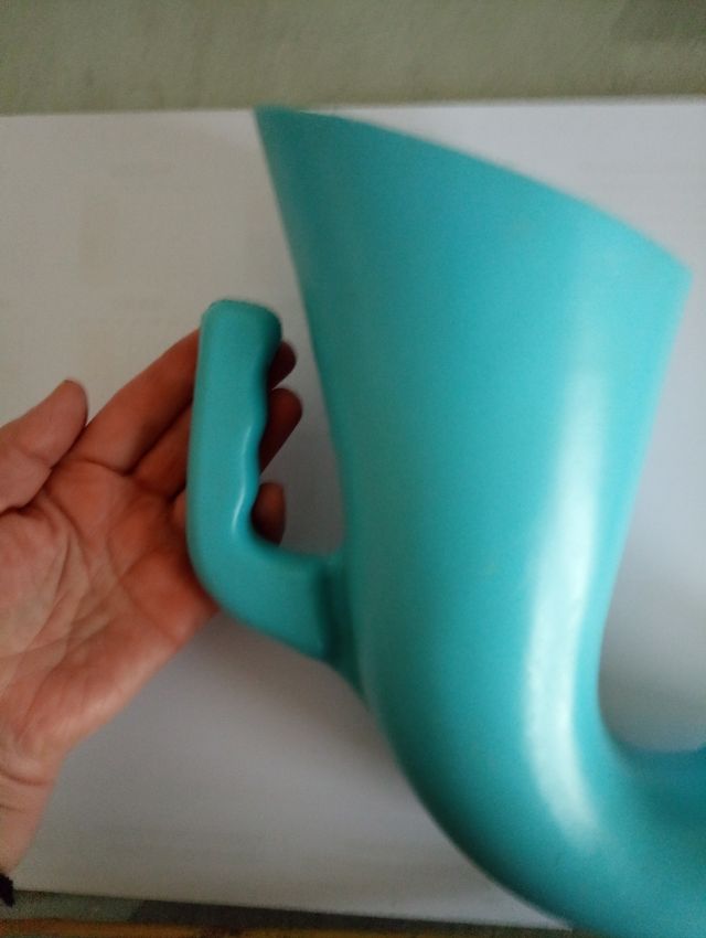 El cuerno del chollo año 85