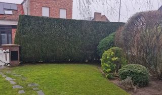 Jardinero económico