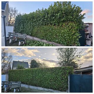 Jardinero económico