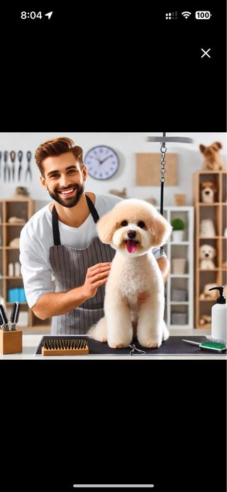Se buaca peluquero canino