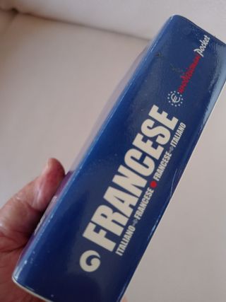 Dizionario tascabile francese