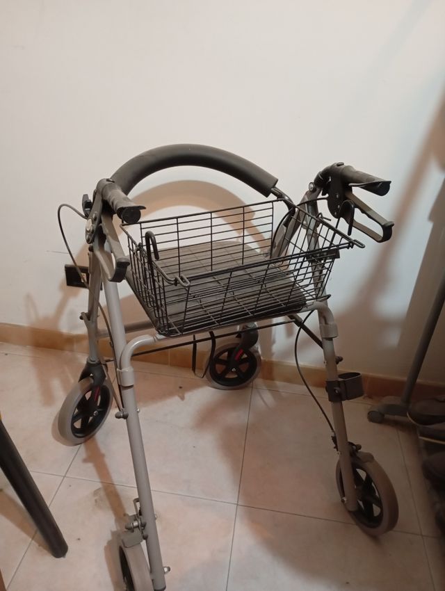 Deambulatore con cestino