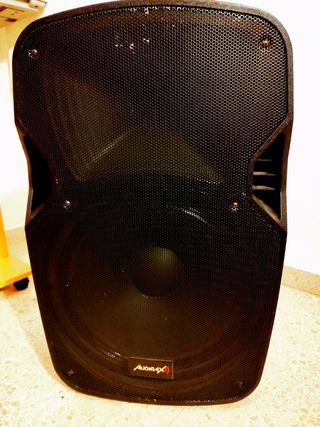 Altavoz audivax 15 plus + 2 micrófonos de diadema