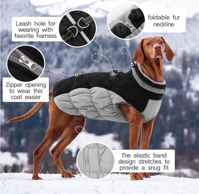 Abrigo Impermeable para Perros