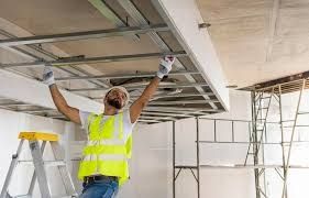 Pladurista pintor profesional