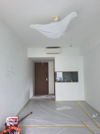 Pladurista pintor profesional