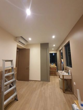 Pladurista pintor profesional