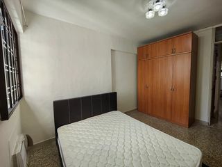 Pladurista pintor profesional