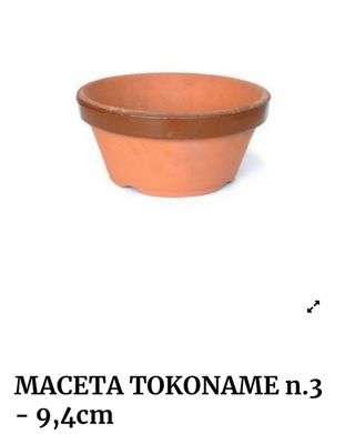 Macetas Tokoname para Bonsai