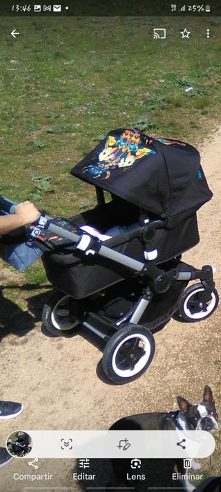 Bugaboo búfalo más capota niark