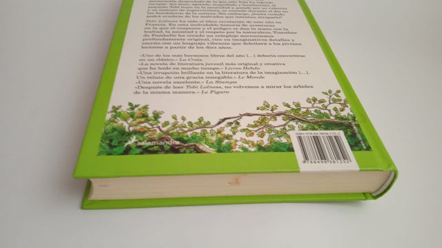 Tobi Lolness I: La huida de Tobi (Spanish Edition)