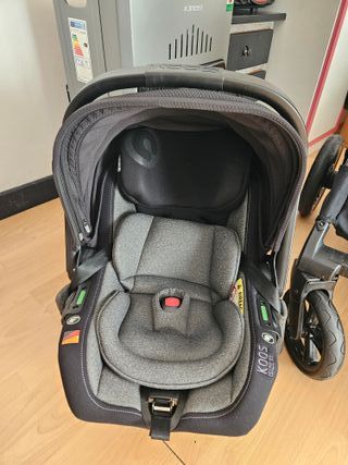 Trío Jane Muum Concord