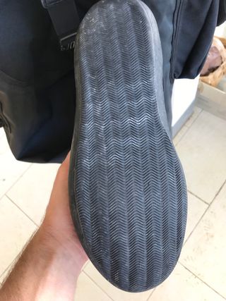 Muta stagna Ugly Fish