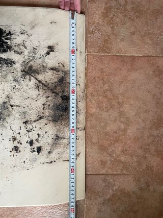 Horno Pizza Create 16” con piedra rota