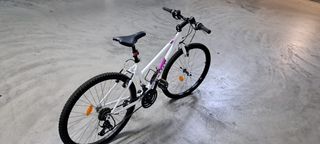 Bicicleta infaltil