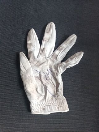 Guantes de Sergio García campeón