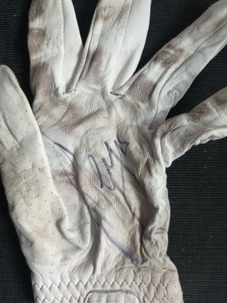 Guantes de Sergio García campeón