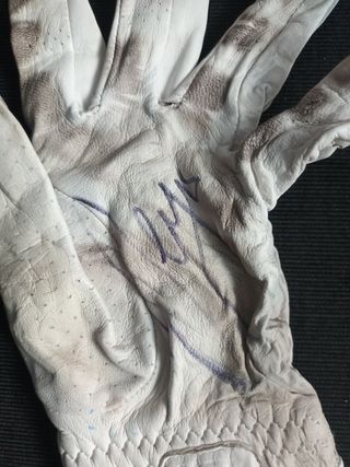 Guantes de Sergio García campeón