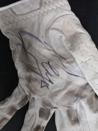Guantes de Sergio García campeón