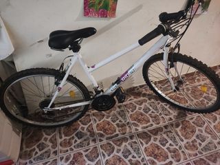 Bici