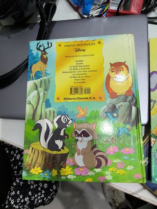 Lote dos libros disney