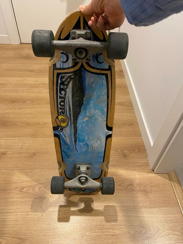 longboard sector 9