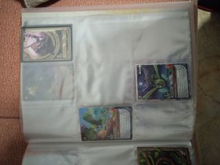 Álbum de cartas Fantasy rider