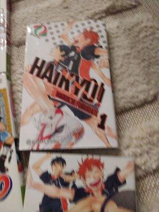 Colección libros cómic de anime japonés