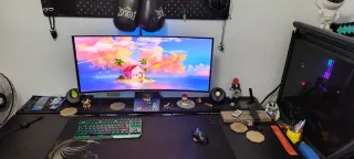 Ordenador Gaming+Monitor Oled 34" Samsumg G8Odisey