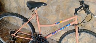 Bicicleta de mujer