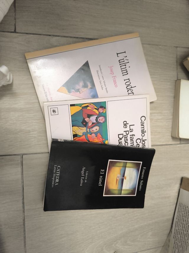 Llibres en valencià -mirar imágenes-